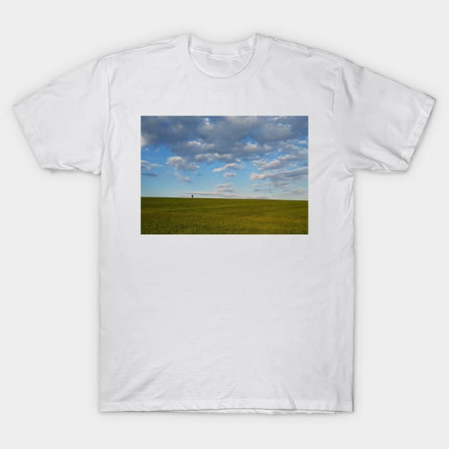 walking a green wheat field T-Shirt by psychoshadow